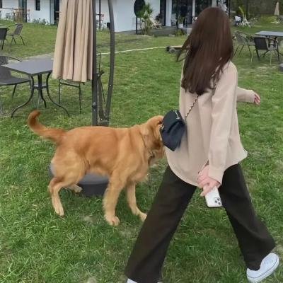 吻我加仙气